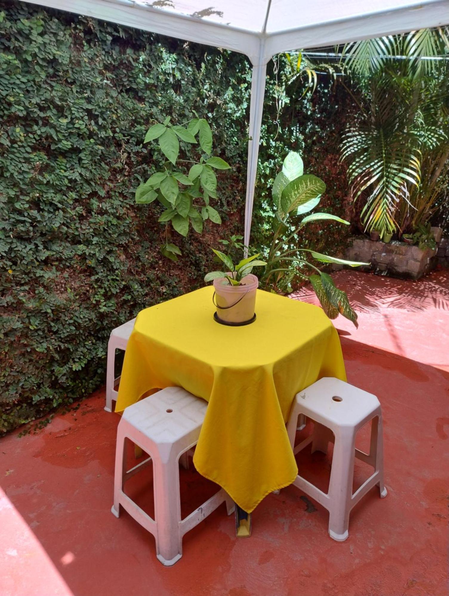 Perto Do Aeroporto De Salvador - Dona Pitanga Hostel Lauro de Freitas Bagian luar foto
